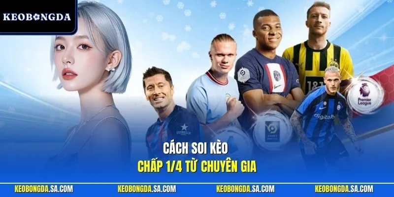Cách soi kèo chấp 1/4 từ chuyên gia